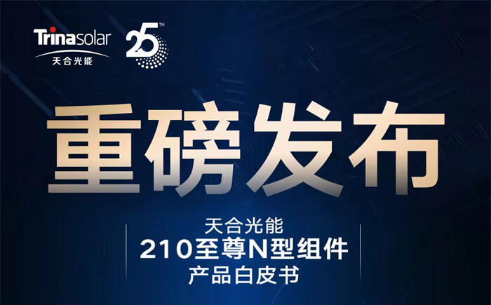 重磅来袭点击查看至尊N型组件白皮书详解！