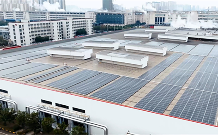 天合光能X洽洽食品 | 开放合作，向阳共生，让每一袋瓜子都饱含着阳光