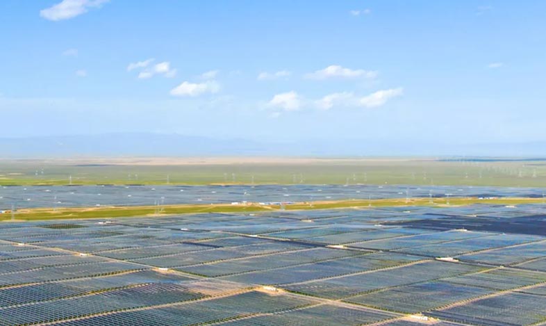 “网红光伏羊”，天合产