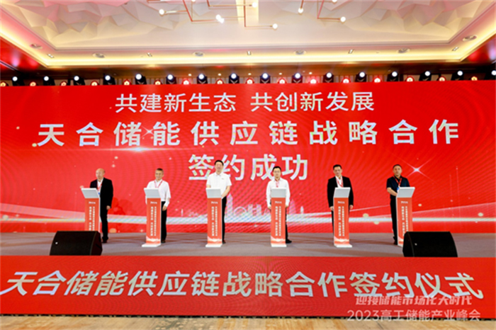 构建一体化新型智慧能源系统，推动储能产业高质量发展